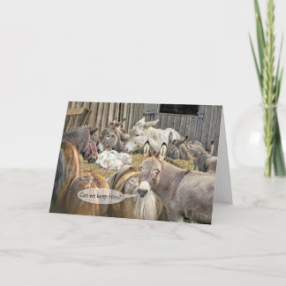 Tarjeta ¿Podemos Mantenerlo? Burros con Navidades de Baby