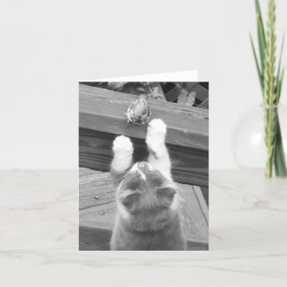 Tarjeta ¿Podemos ser AMIGOS?