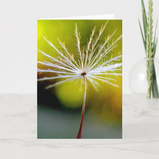 Tarjeta Poesía de la naturaleza con semillas de candelión (Anverso)