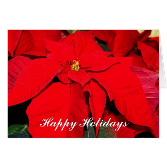 Tarjeta Poinsettia, buenas fiestas