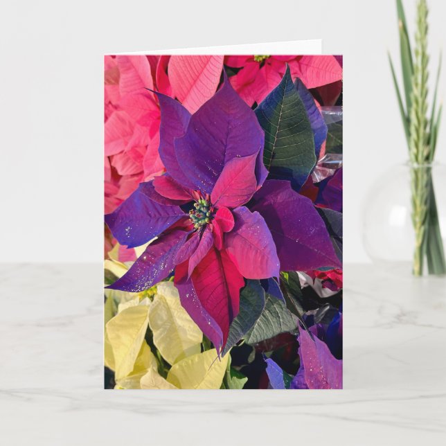 Tarjeta Poinsettias Magic (Anverso)