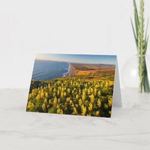 Tarjeta Point Reyes National Seashore California