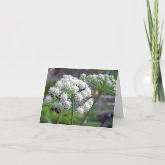 Tarjeta Polinizadores en flores de Angelica Blanca