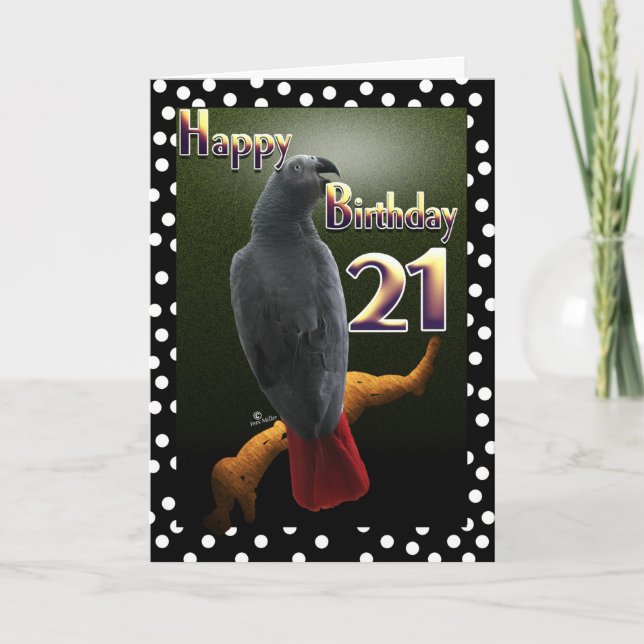 Tarjeta Polka de loro gris africano 21 puntos B-Day (Anverso)