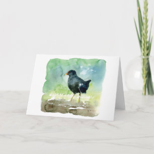 Tarjeta polla de agua común