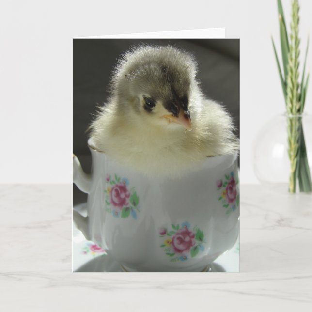 Tarjeta Pollito Cochin Azul en Taza de Té (Anverso)