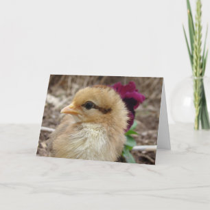 Tarjeta Pollito en jardín de pensamientos de Pascua