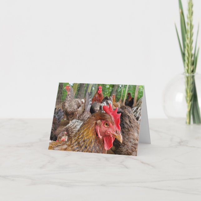 Tarjeta Pollo (Anverso)