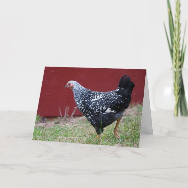 Tarjeta ¡Pollo! (Anverso)