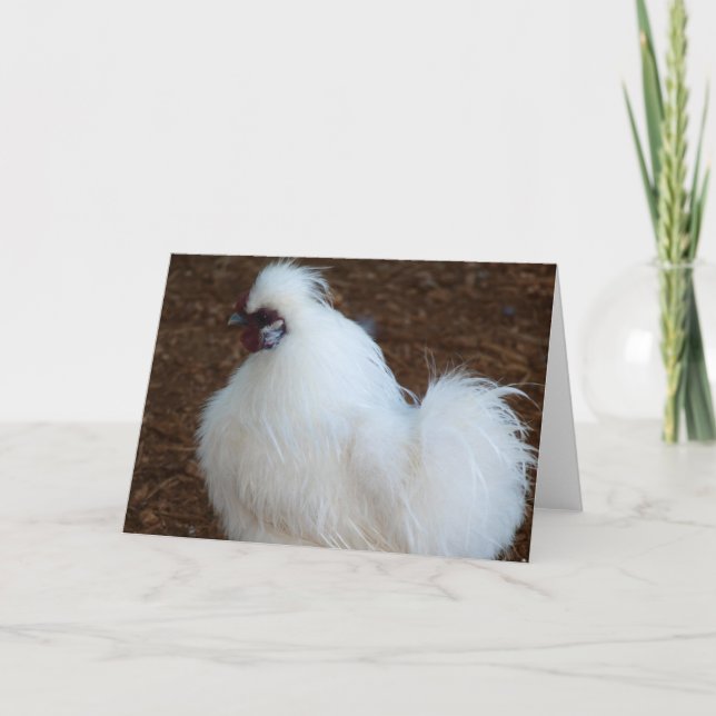 Tarjeta Pollo blanco de Silkie (Anverso)