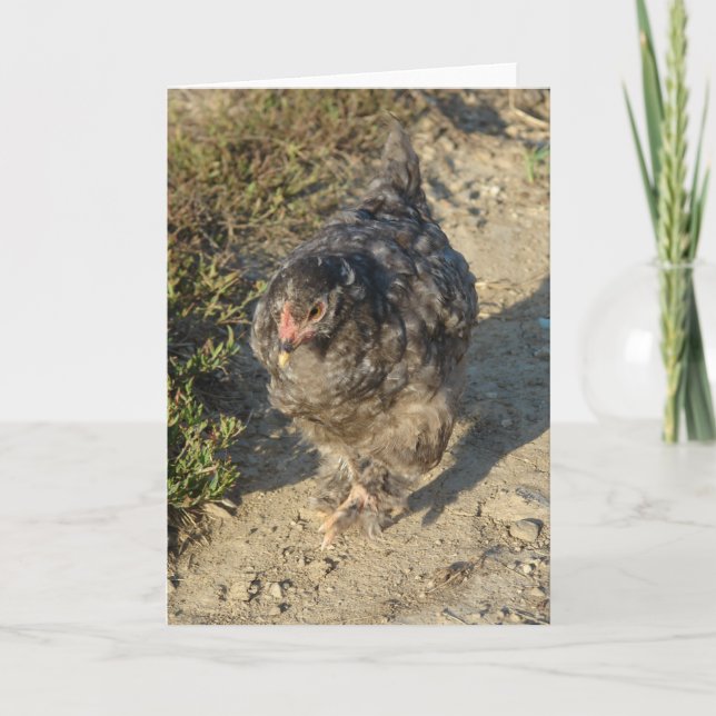 Tarjeta Pollo Cochin Joven (Anverso)