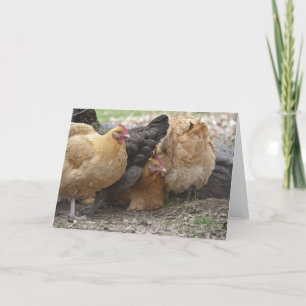 Tarjeta Pollo cómico Notecard