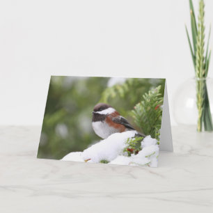Tarjeta Pollo en la nieve en un árbol del cedro