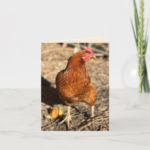 Tarjeta Pollo en Movimiento con el Rabillo del Ojo