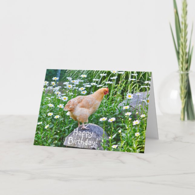 Tarjeta Pollo feliz de cumpleaños con maricas (Anverso)