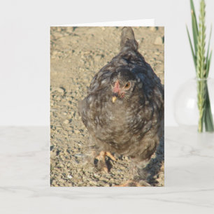 Tarjeta Pollo joven