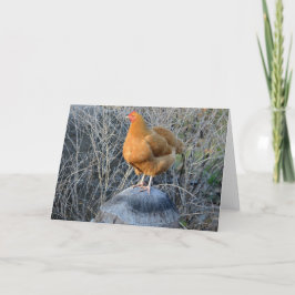 Tarjeta Pollo Notecard