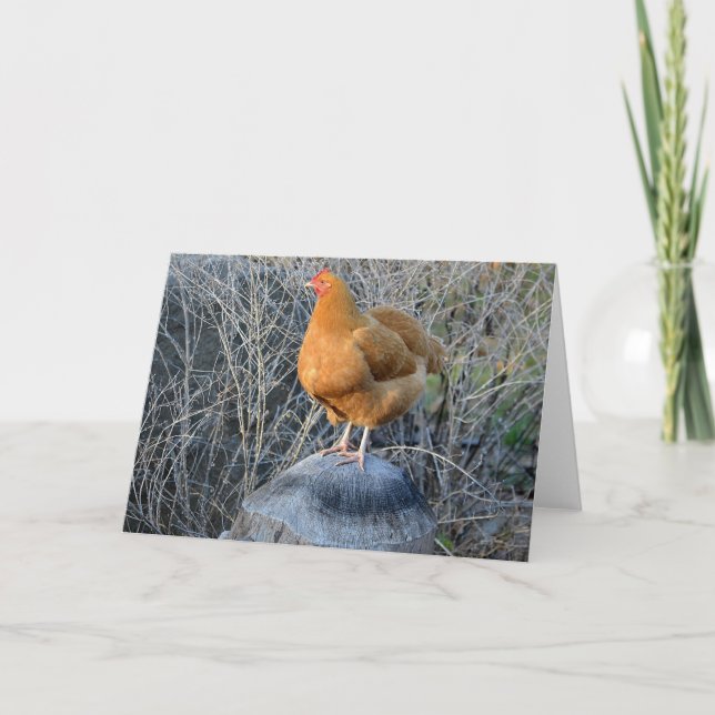 Tarjeta Pollo Notecard (Anverso)