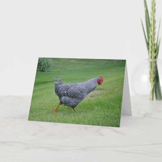 Tarjeta Pollo Notecard (Anverso)