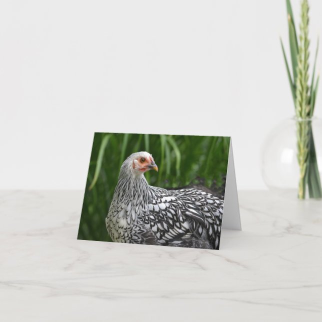 Tarjeta Pollo Notecard (Anverso)