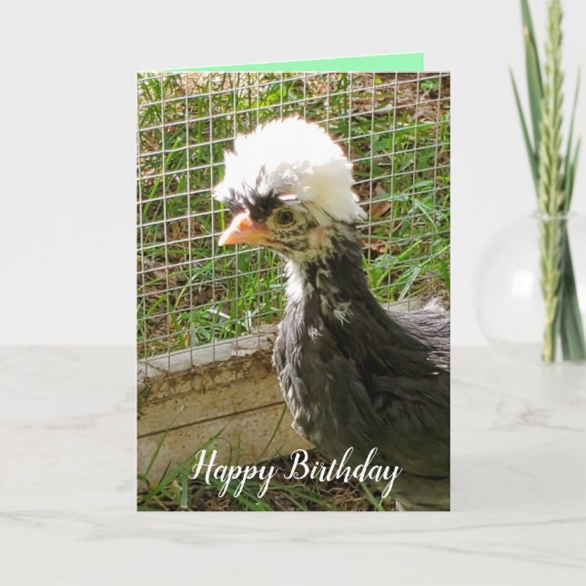 Tarjeta Pollo polaco divertido y feliz cumpleaños (Anverso)