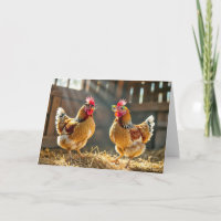 Pollos de cumpleaños con gafas en un establo solea