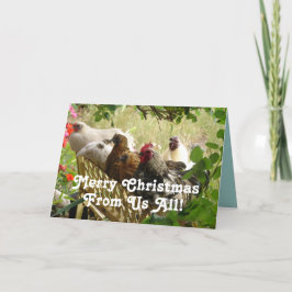 Tarjeta Pollos de gallo se alegran con la Navidad de todos