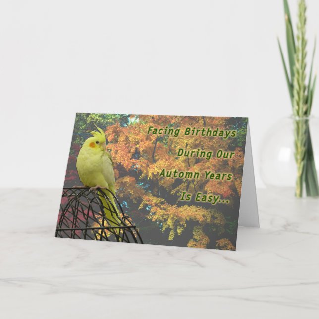 Tarjeta Pollos de primavera (Anverso)