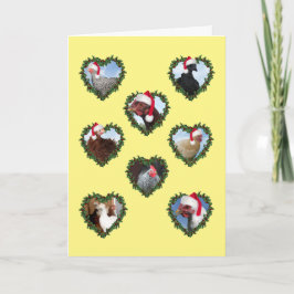 Tarjeta Pollos navidades en coronas