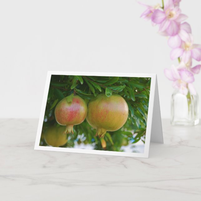 Tarjeta Pomegranatos en retrato de árbol (Orquídea)