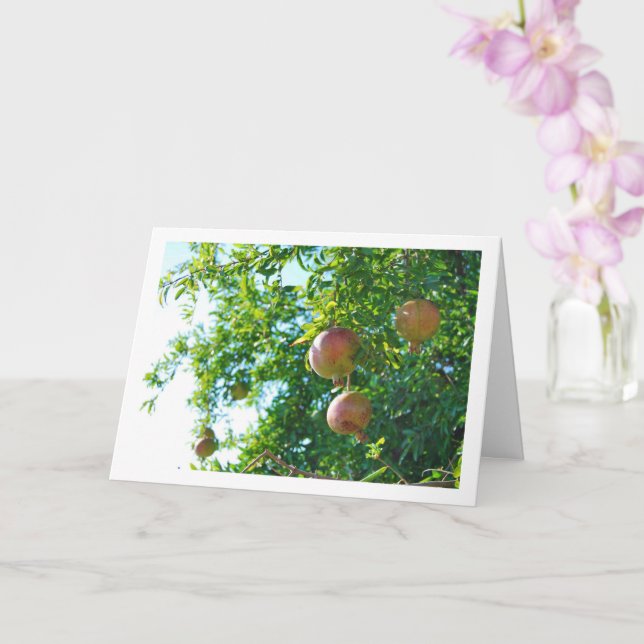 Tarjeta Pomegranatos en retrato de árbol (Orquídea)