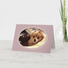 Tarjeta Pomerania: mejor carta