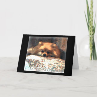 Tarjeta Pomeranian Notecard