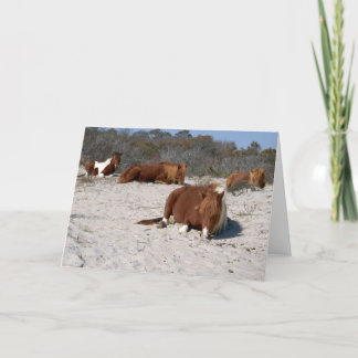 Tarjeta Poniendo en la mira a los ponis salvajes en el par