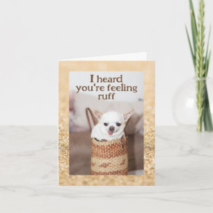 Tarjeta Ponte bien lindo perro chihuahua chispas doradas