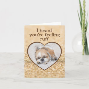 Tarjeta Ponte bien lindo perro shihtzu durmiendo chispas d