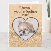 Ponte bien lindo perro shihtzu durmiendo chispas d