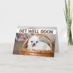 Tarjeta Ponte bien pronto, lindo perro chihuahua en una ca