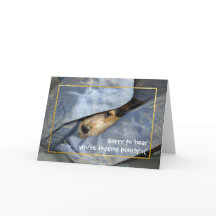 Ponte bien pronto perro