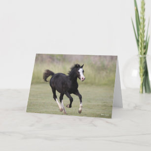 Tarjeta Pony Foo Corriendo En Blanco Y Negro