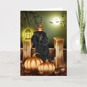 Tarjeta Poodle con sombrero de bruja Halloween