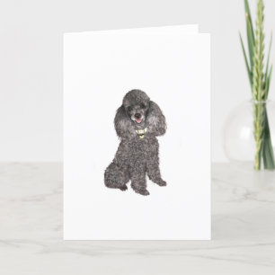 Tarjeta Poodle - Juguete/Plata en miniatura
