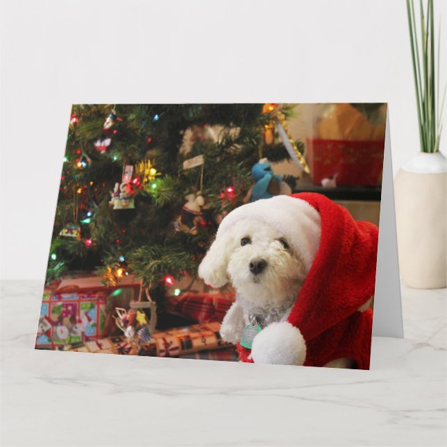 Tarjeta Poodle lindo de Navidad (Anverso)