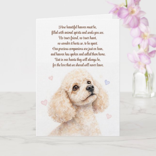 Tarjeta Poodle Perro Simpatía Pérdida Pésame (Orquídea)