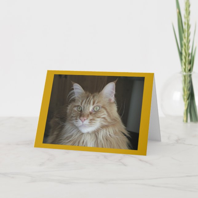 Tarjeta "Pooky" (Anverso)