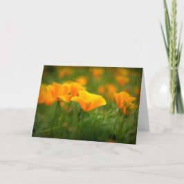 Tarjeta Poppy Blank, Naranja de Poppies de California