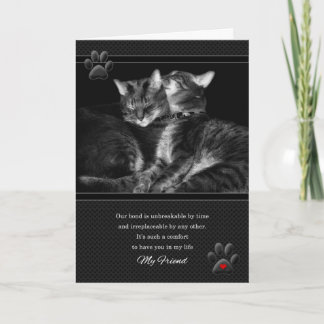 Tarjeta por el amante del gato de cumpleaños de un amigo c