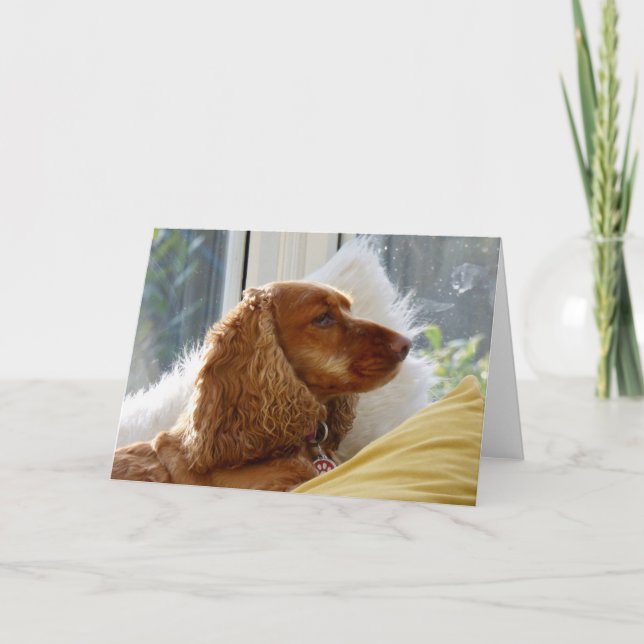 Tarjeta Por el amor a los perros (Anverso)