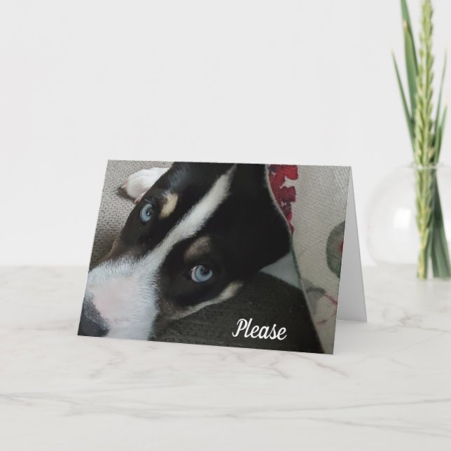 Tarjeta Por favor, no te enfades conmigo, lo siento (Anverso)