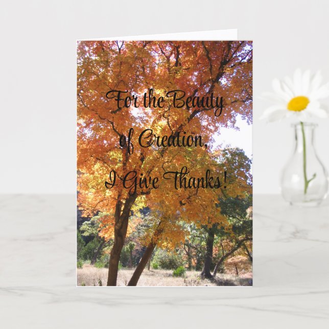 Tarjeta Por la belleza de la creación, doy gracias, tarjet (Planta pequeña)